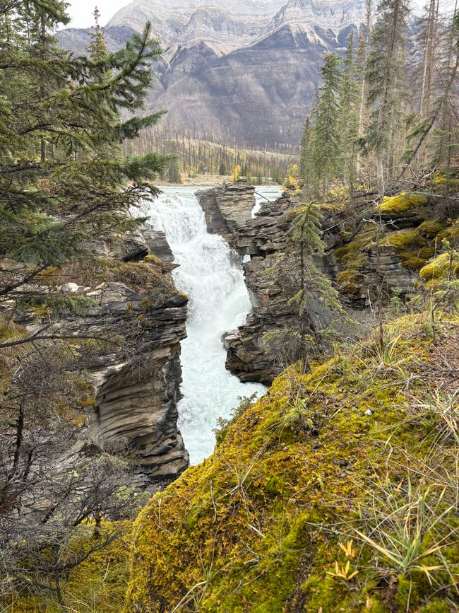 Tag 12 - 🏔️ Wasserfälle, Wetterkapriolen & Wellness – ein (fast) perfekter Tag in Jasper