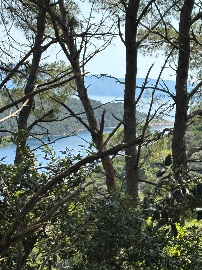 Radfahren auf Mljet