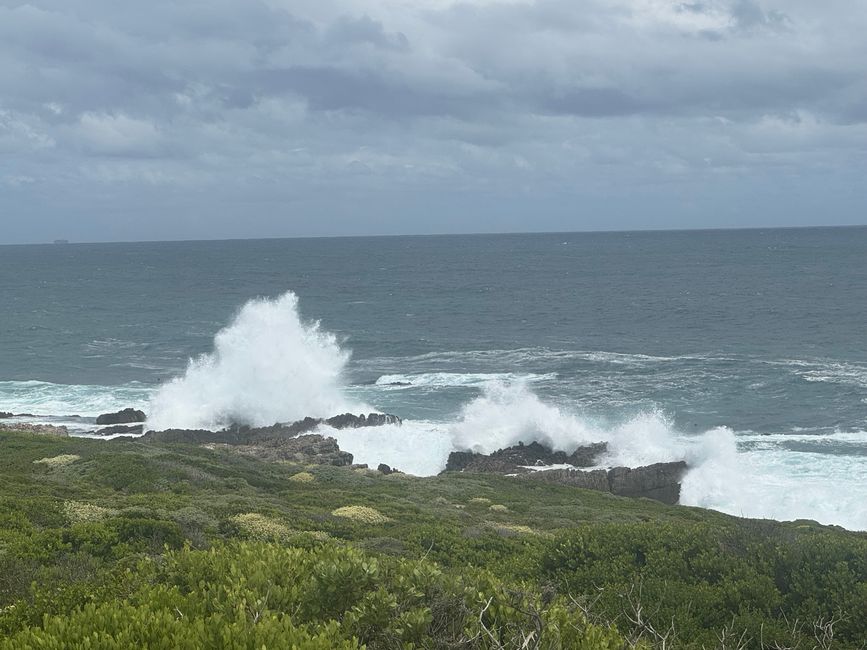 Gansbaai