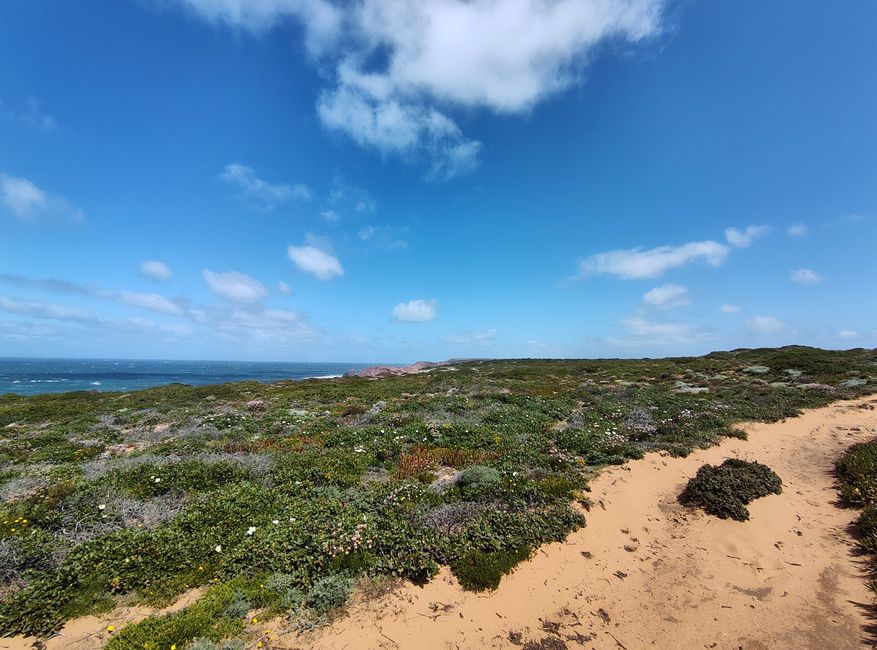 Sagres -> Vila do Bispo