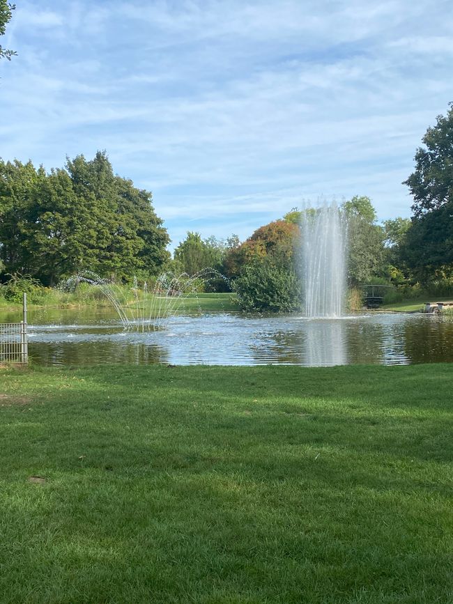 Landesgartenschaugelände: ein Teich mit zwei Springbrunnen