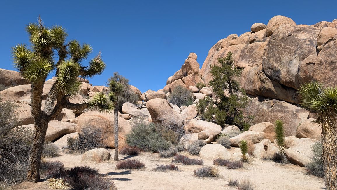 USA - Las Vegas and more ...   road trip 2025