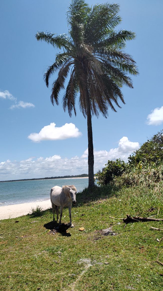 Brazil, Praia Garcez