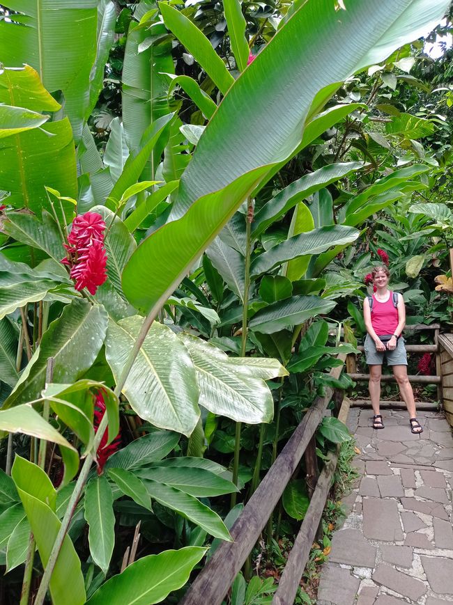 Zoo Guadeloupe