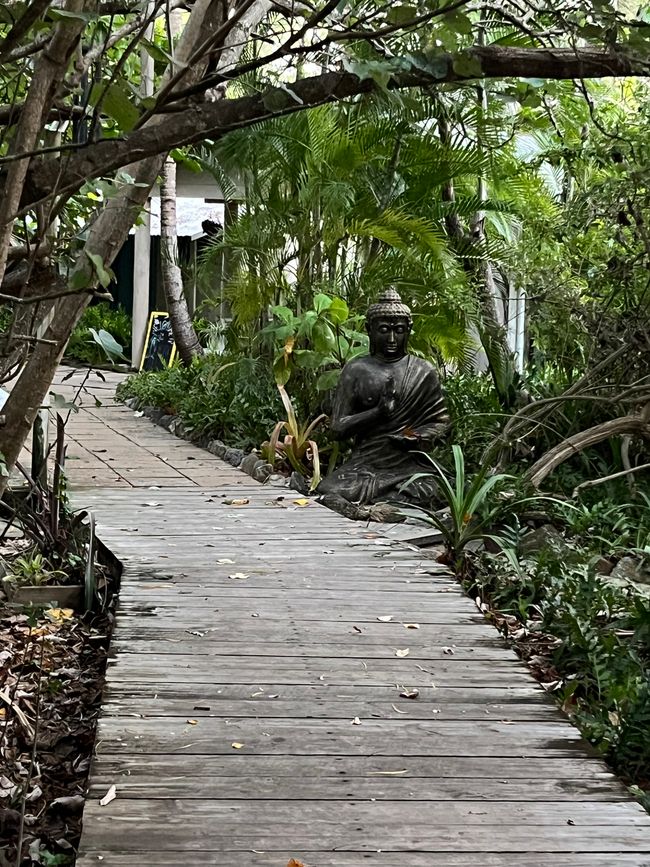 Für Bibo | Great Keppel Island