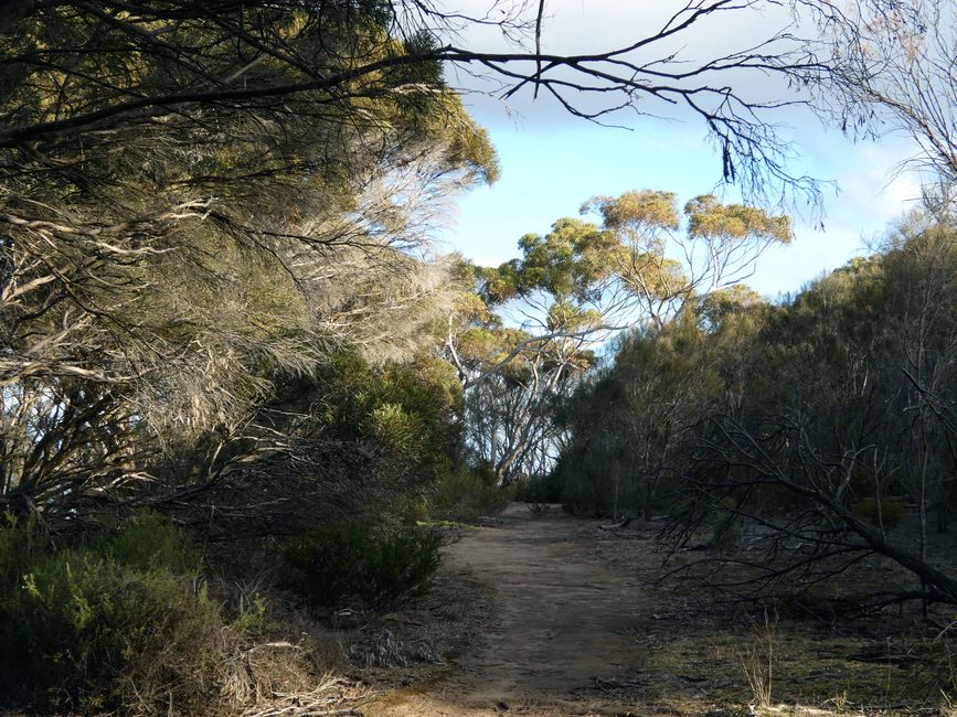 De la vallée de Barossa à l'île Kangourou