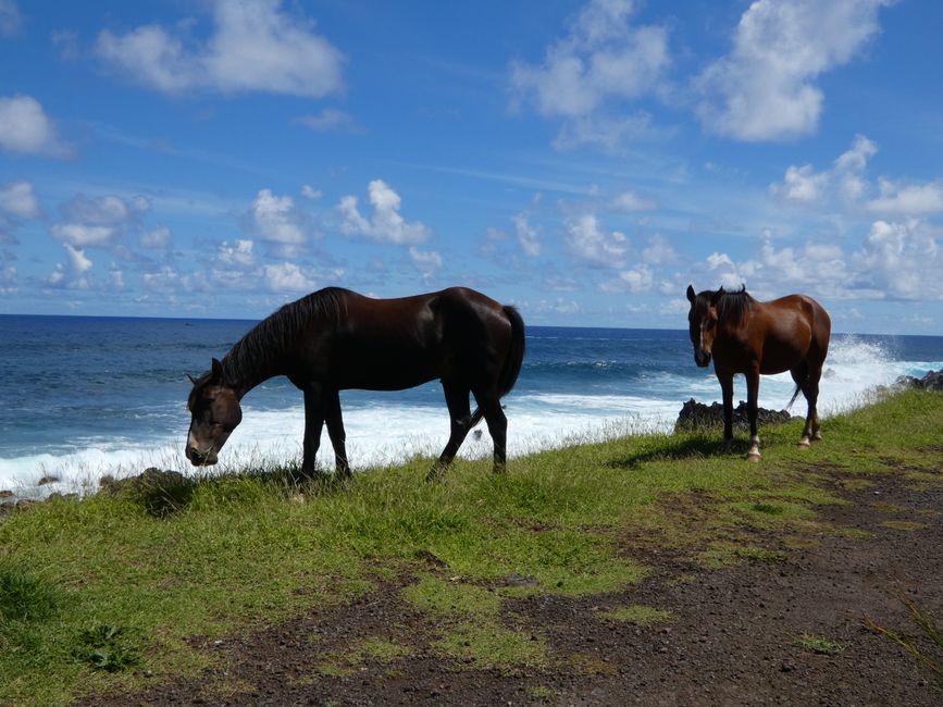 Isla de Pascua, día 1