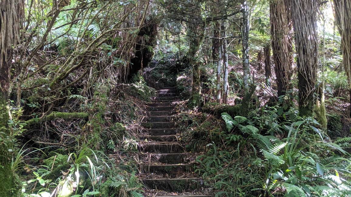 New Plymouth / Okato / Mt. Taranaki