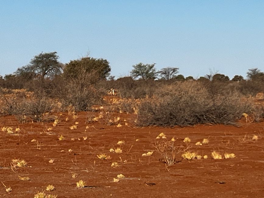 Onwards to the South of Namibia