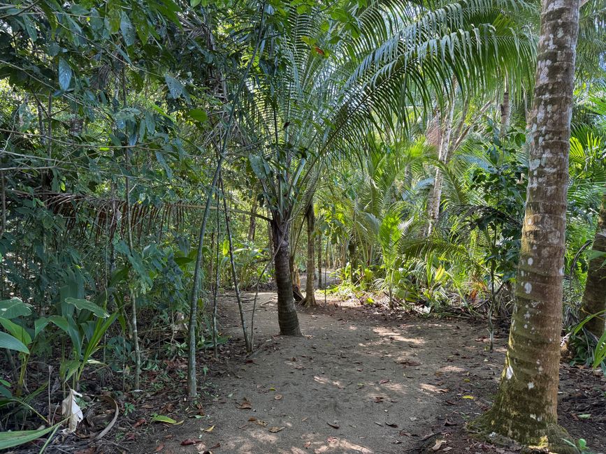 El sendero continúa