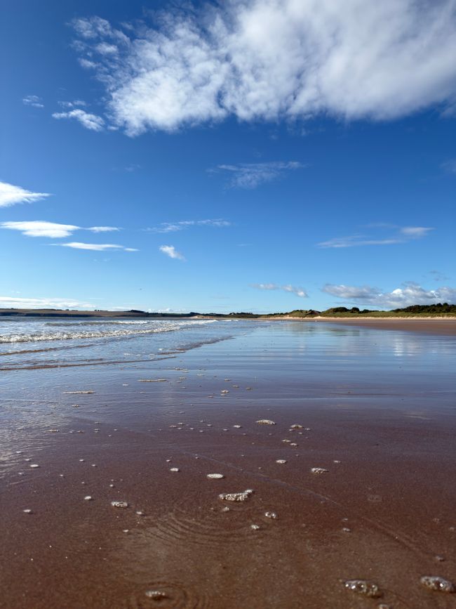 Tage in Montrose..