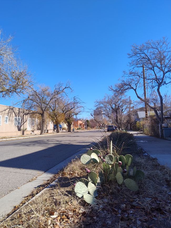 Route à Albuquerque 