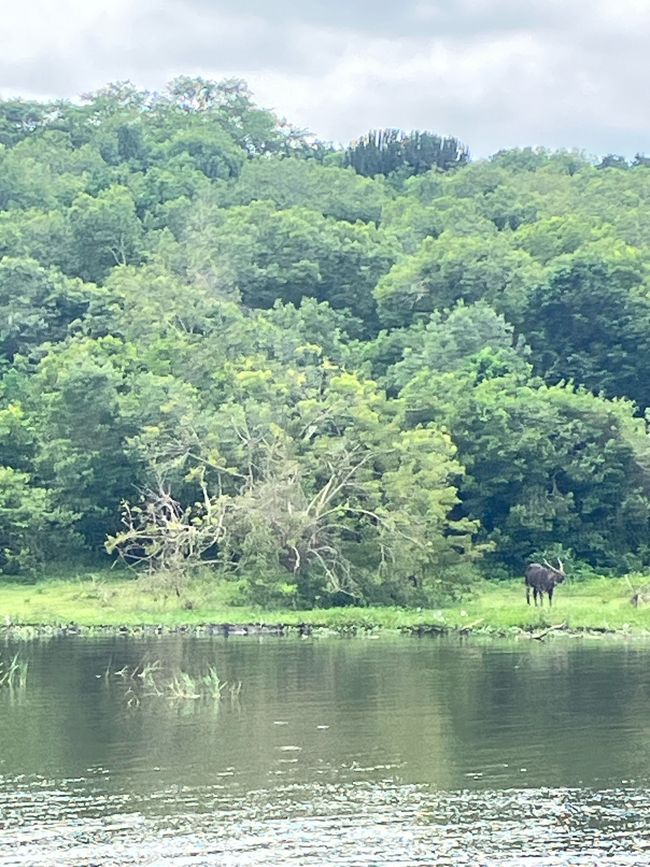 Nationalpark Murchison Falls