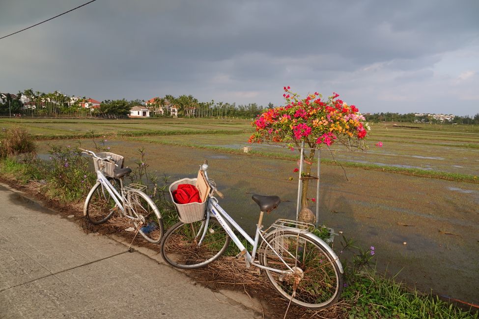 Hoi An mit dem Fahrrad und einer ganz besonderen Begegnung