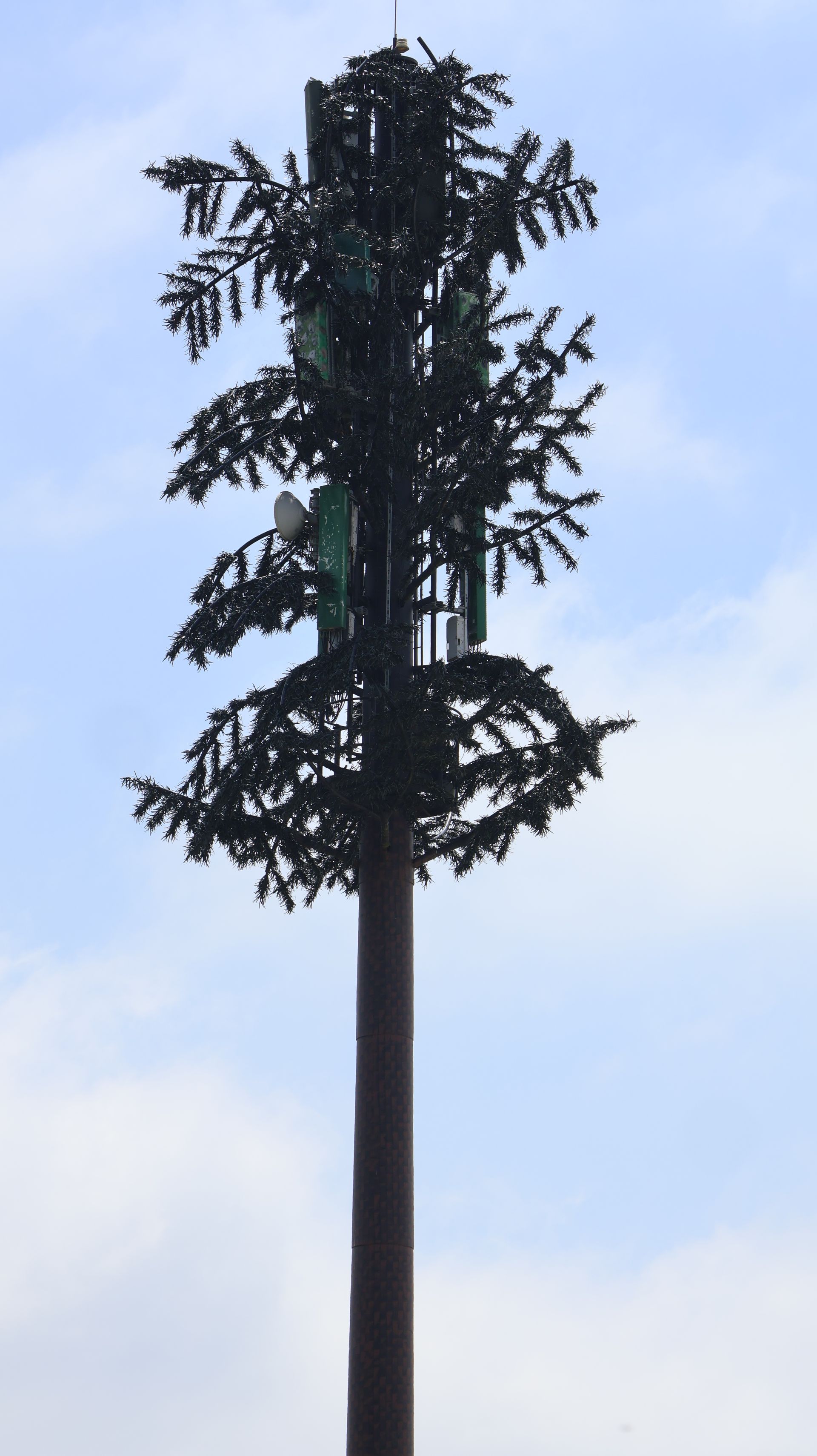 Une tour de transmission en sapin de Noël ?