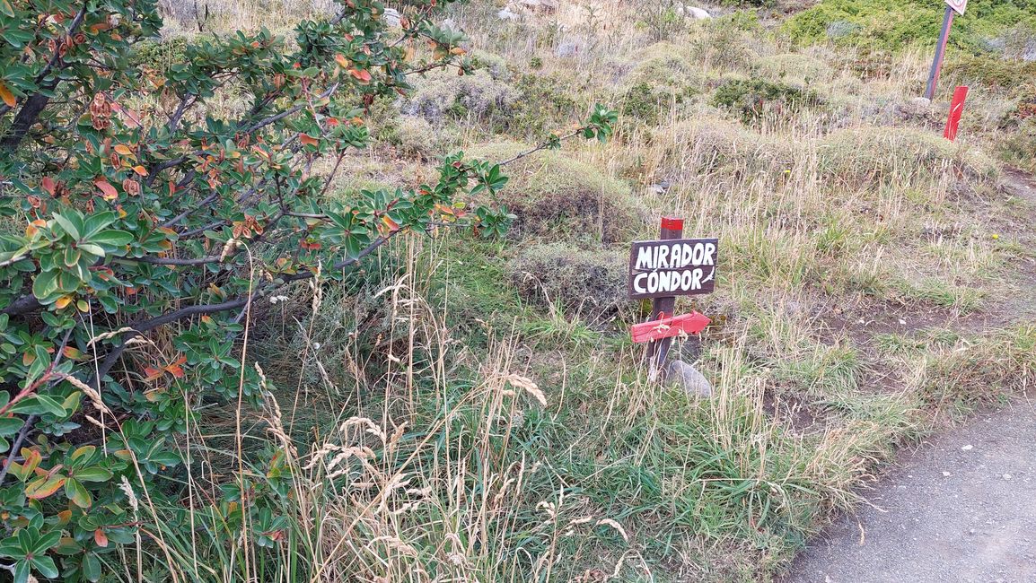 Chile - Santiago und Patagonien