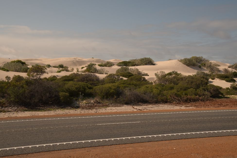 Nambung NP - White Sand Dune / White sand dune