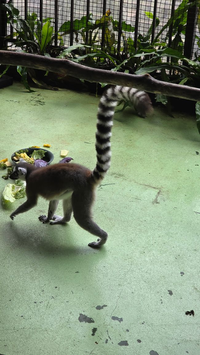 Okinawa Nuchi du takara (Life is the very thing we treasure)