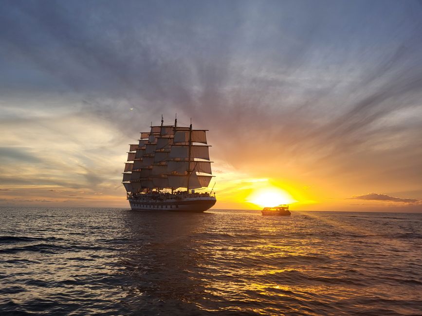 Royal Clipper 
