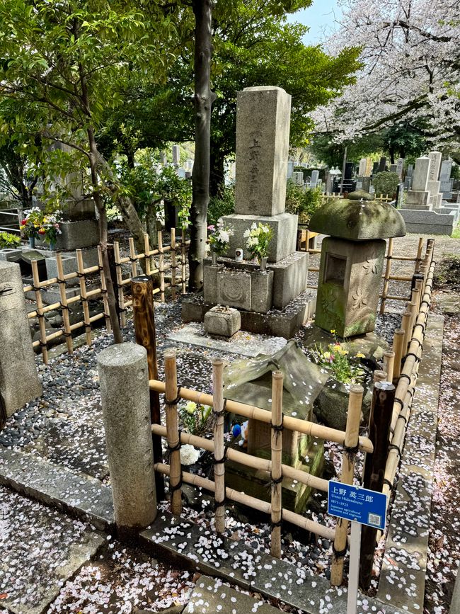 Parte 7
BENVENUTO IN GIAPPONE 🇯🇵
TOKYO