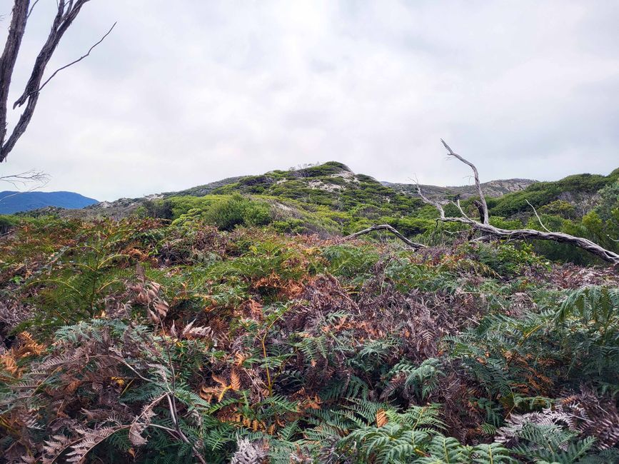 Melbourne - Wilsons-Promontory-Nationalpark