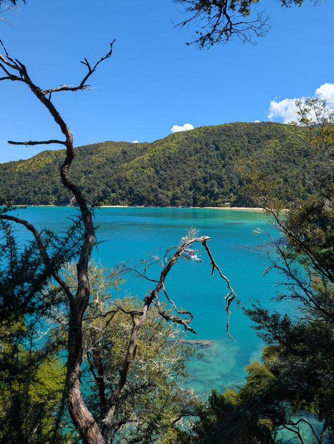 Auf ein paar Worte in Abel 
Tasman