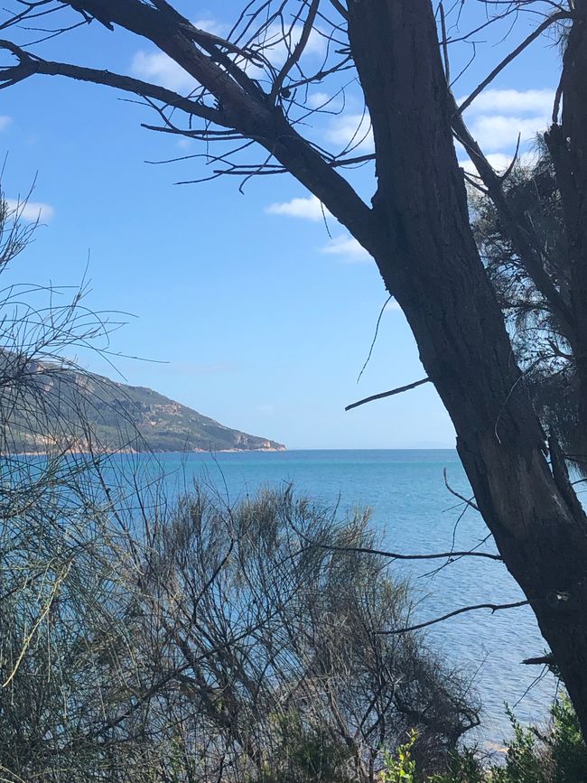Coles Bay ...