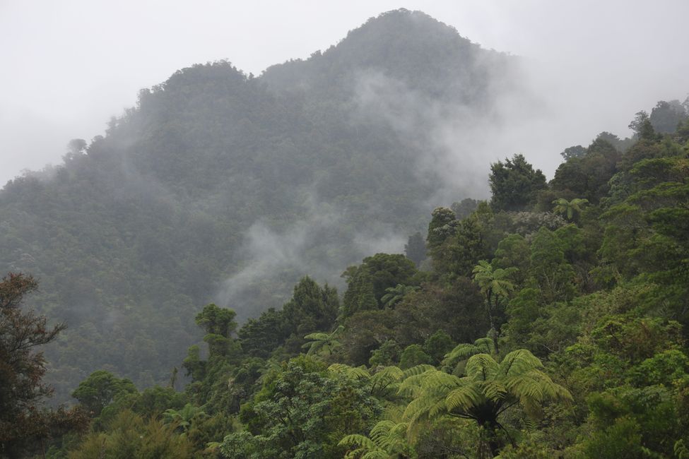 Abel Tasman