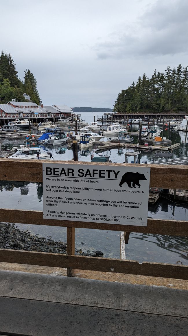 Day 11: Strathcona PP - Telegraph Cove - Alder Bay