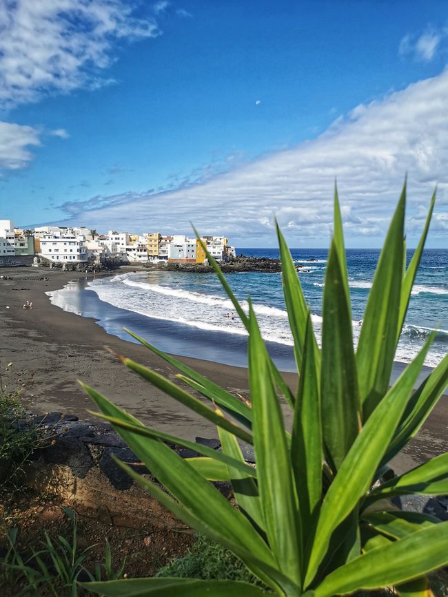 Puerto de la Cruz 