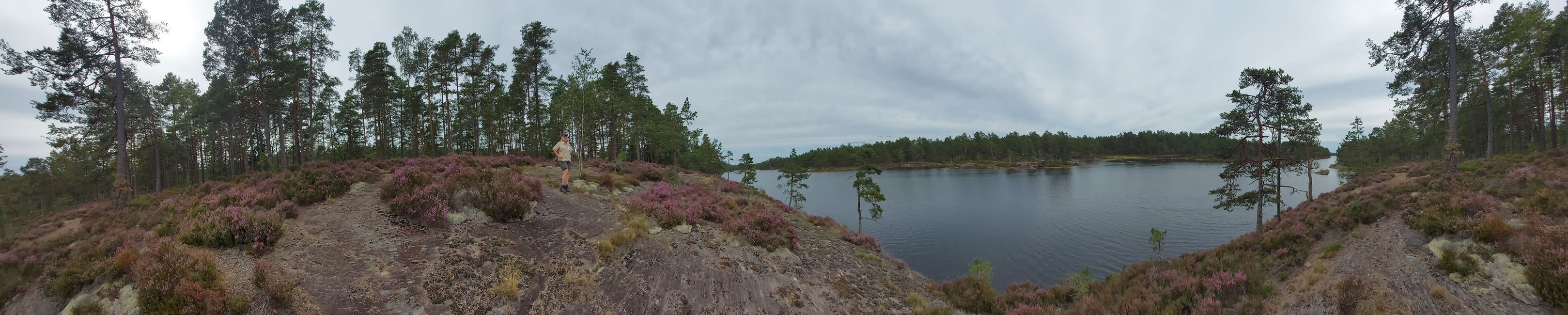 Halden – Tresticklans NP – Halden