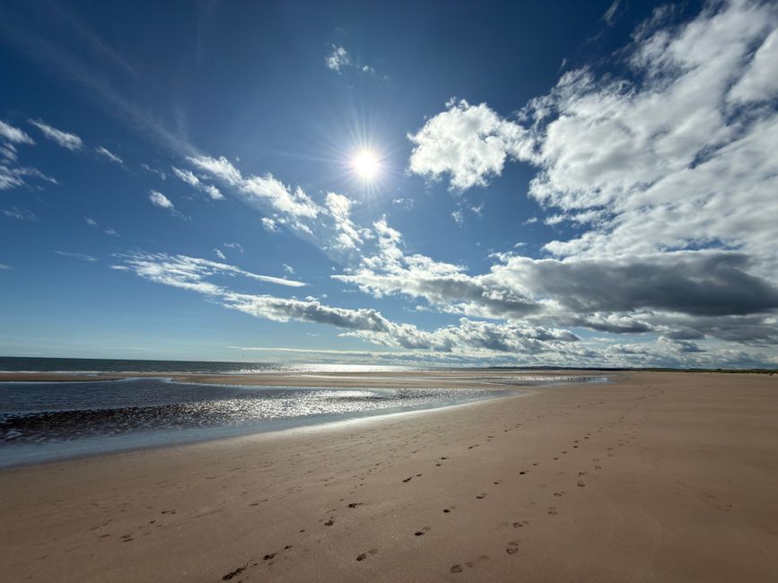 Tage in Montrose..