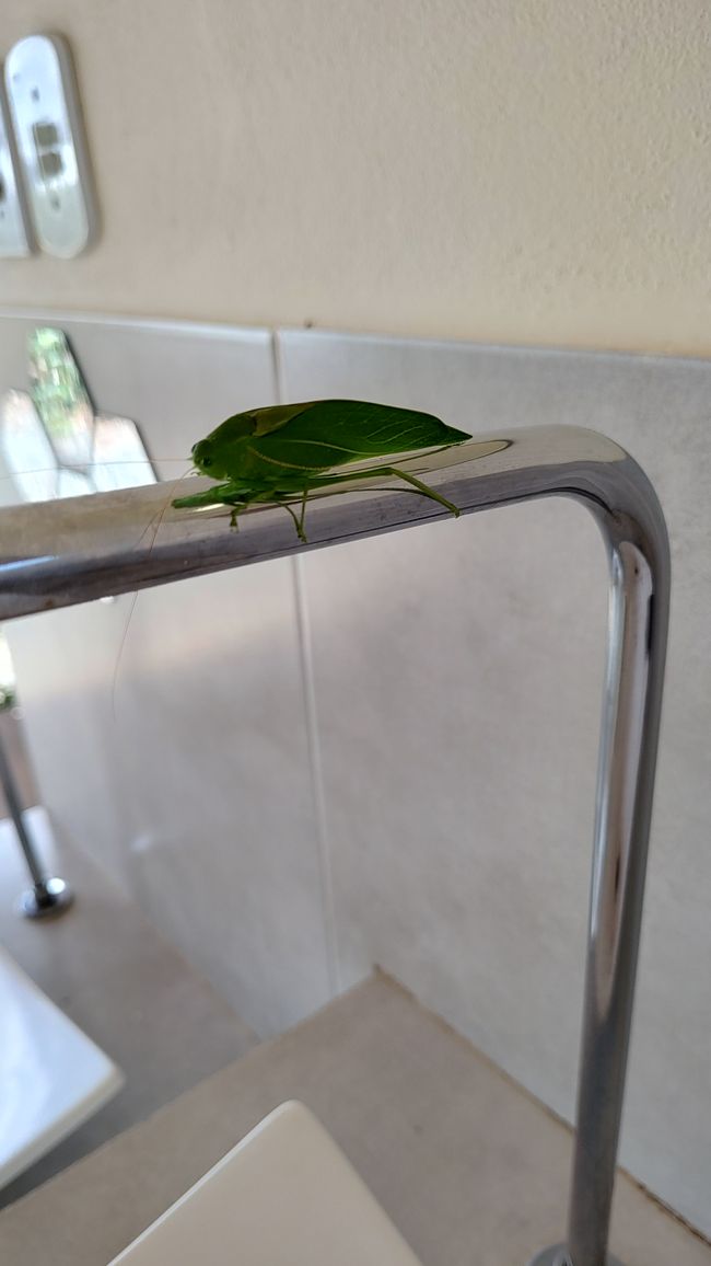 Brasilien Nationalpark Diamantes Teil I