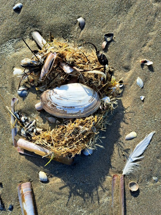 Strand-Gut-Kunst