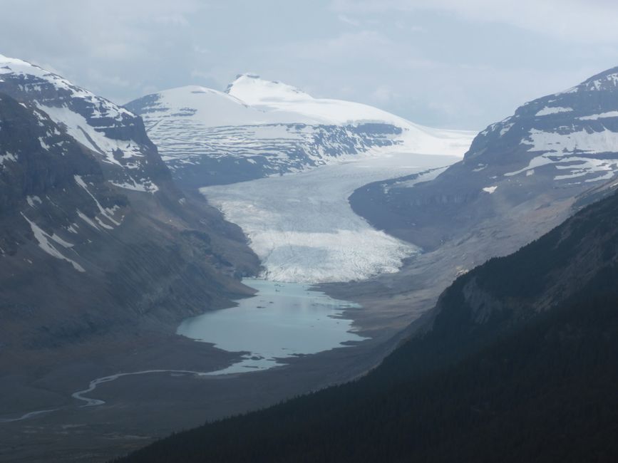 2025-06-19 sur l'Icefields Parkway de Jasper à Lake Louise, CA