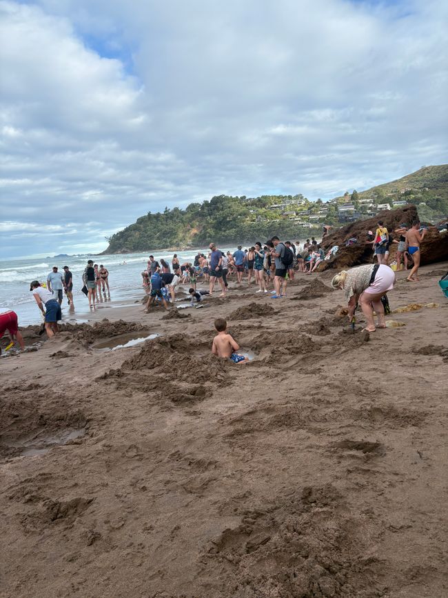 Hot Water Beach- wir werden Digger