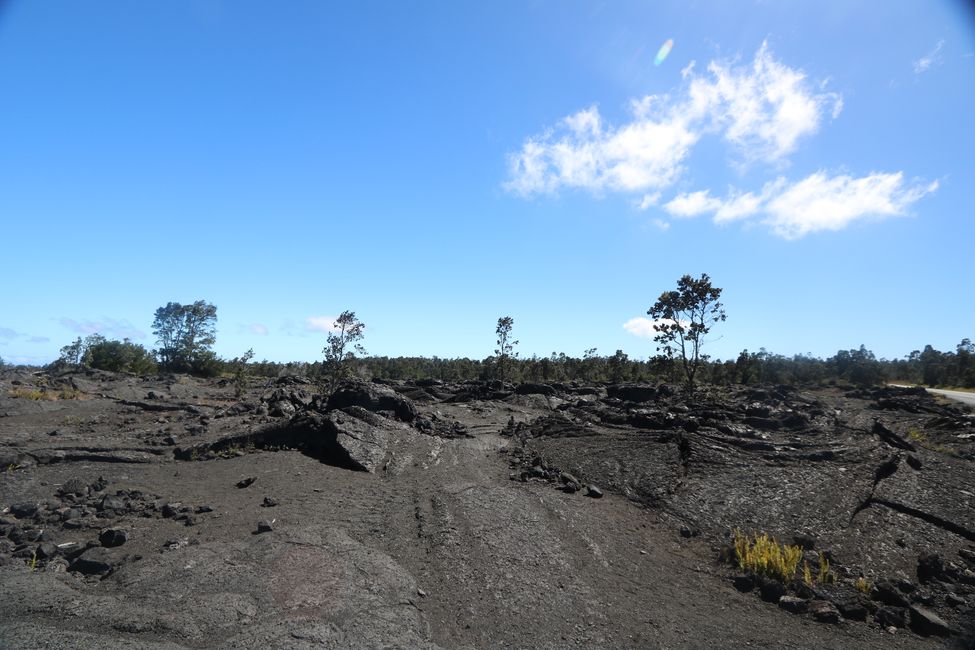 Wir besuchen den Kilauea Vulkan