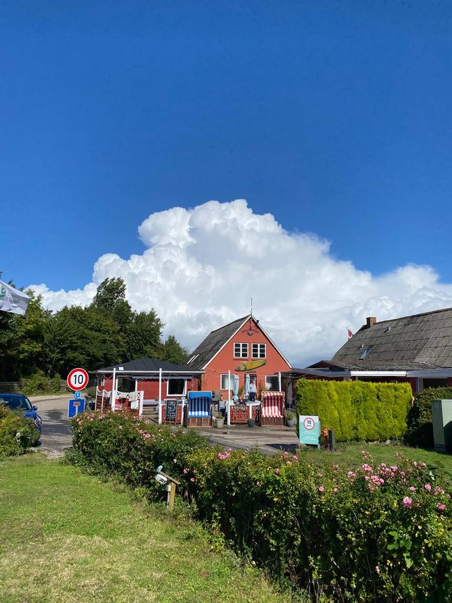 Abschied bei Sonnenschein