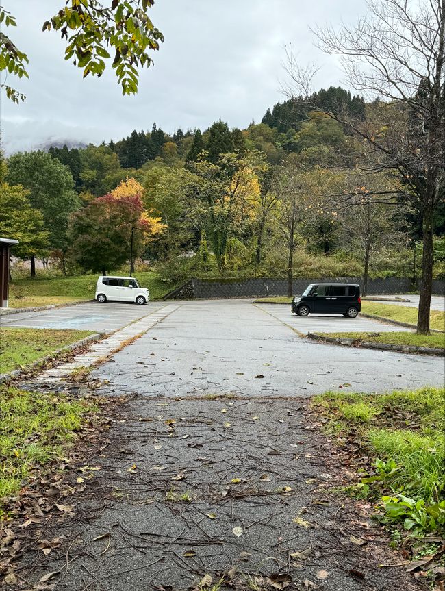 typical cars in Japan