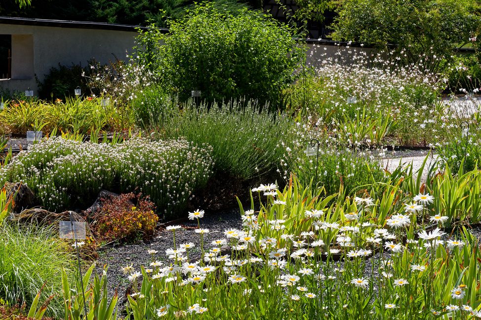 Parc Floral de La Source