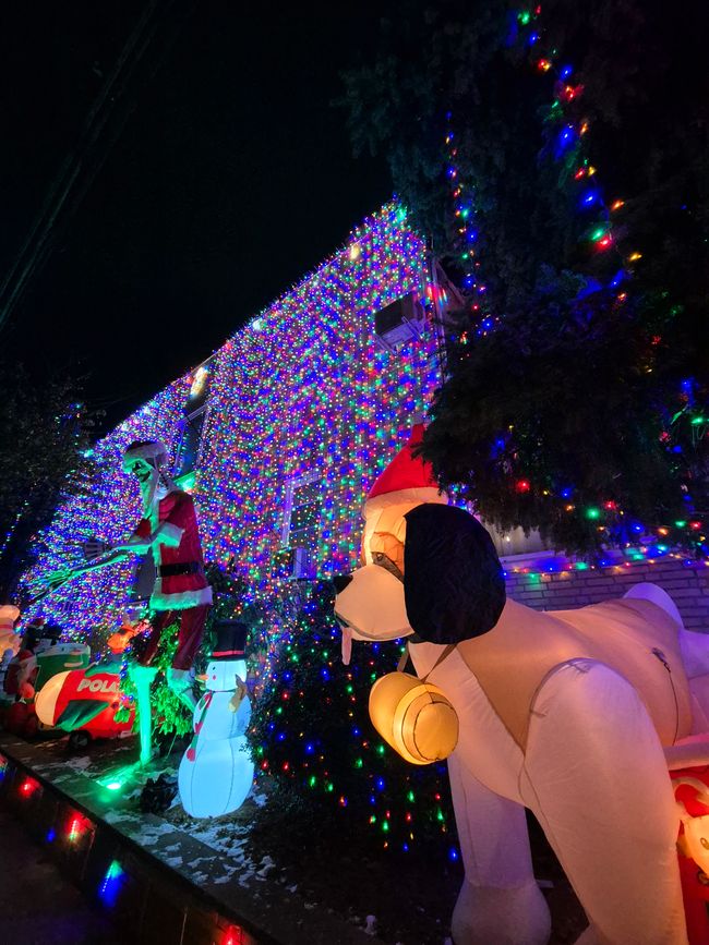 Attrazioni di Brooklyn e Dyker Heights