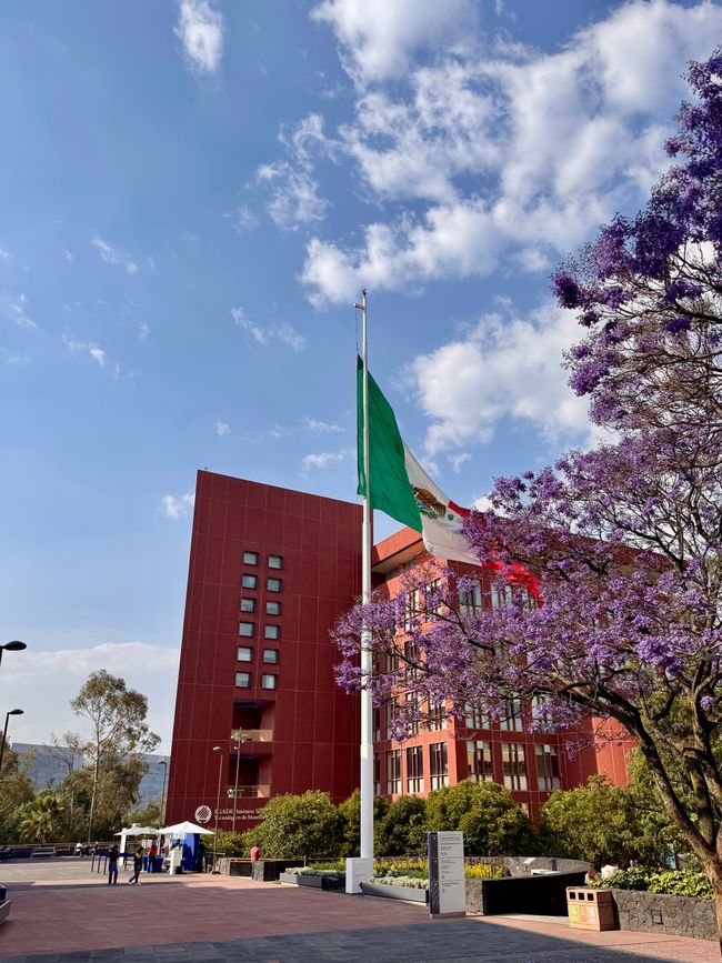 Monterrey Institut für Technologie