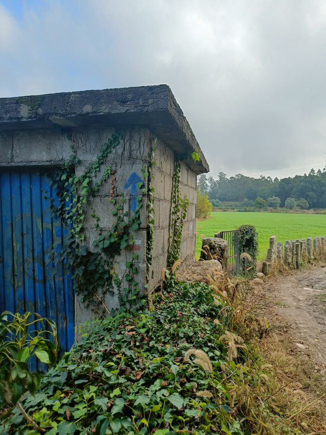 La Flèche Bleue 