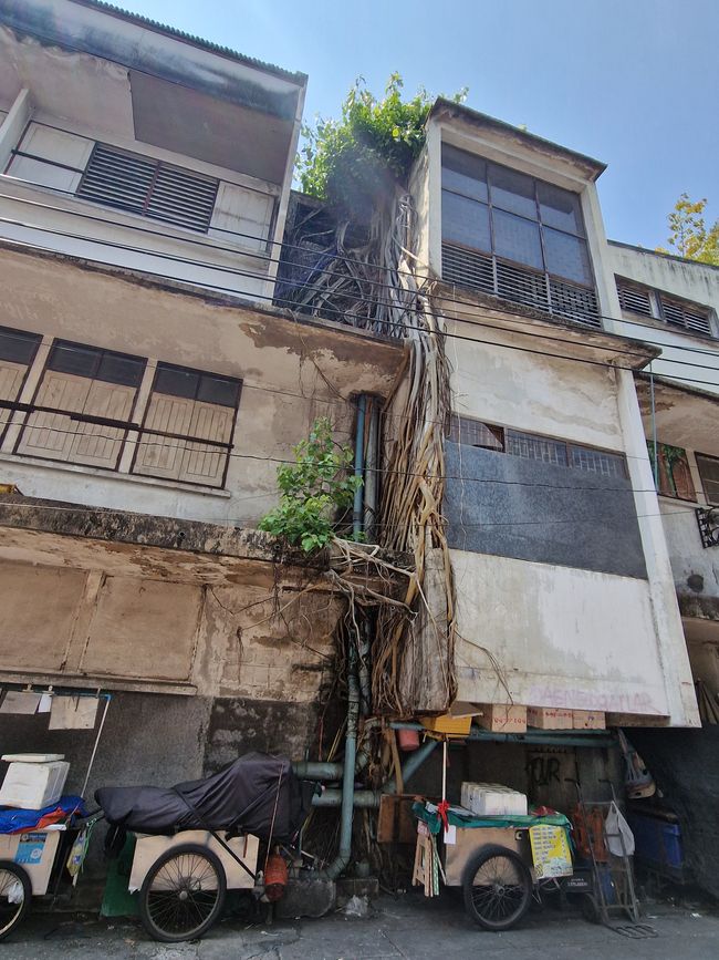 Nunca digas nunca más - Bangkok agridulce y nuestro camino a casa