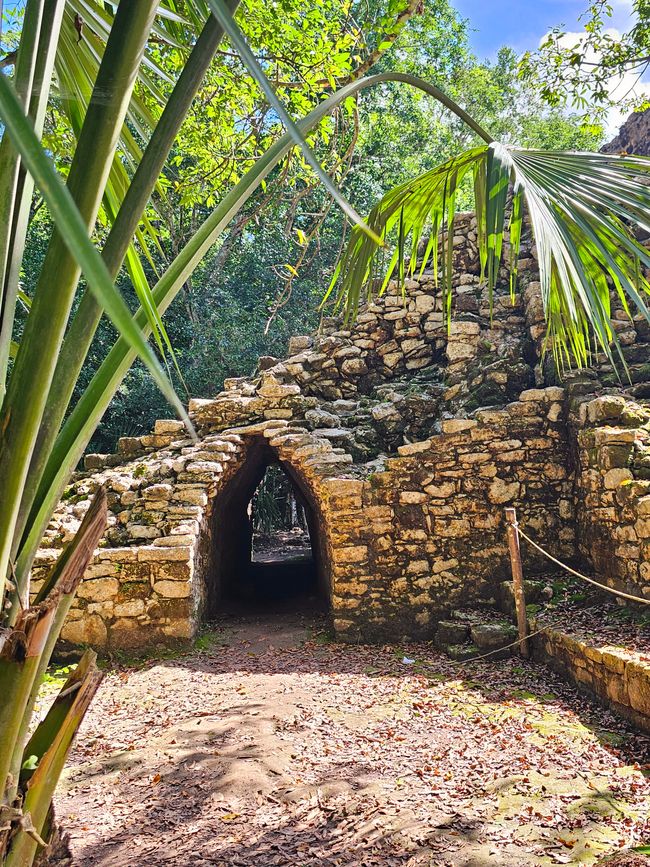 Tulum, Coba and Cenote