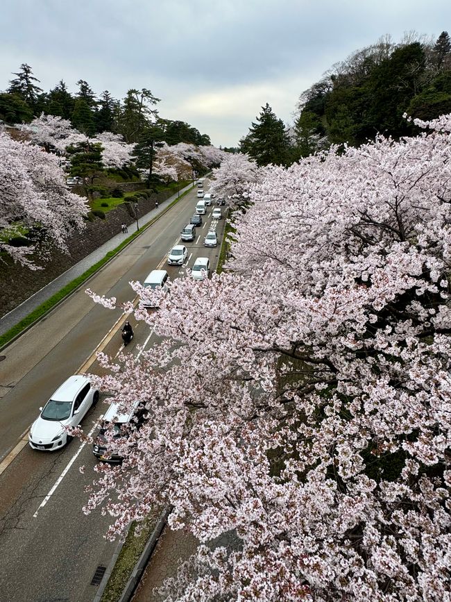 Part 8 Japan 🇯🇵 Kanazawa