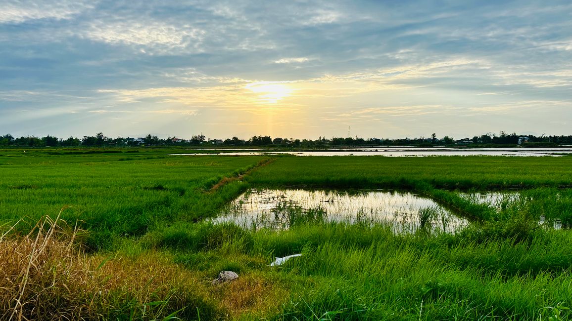 Farewell to Vietnam