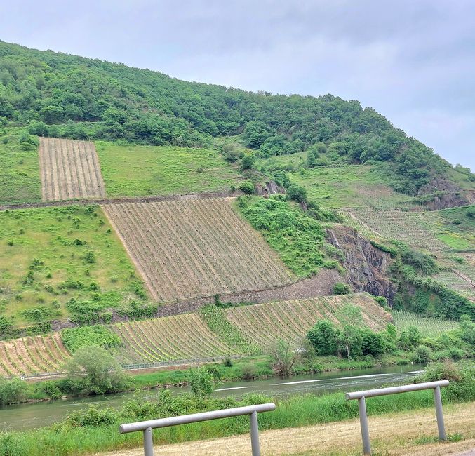 Tour Mosel Maggio 2025