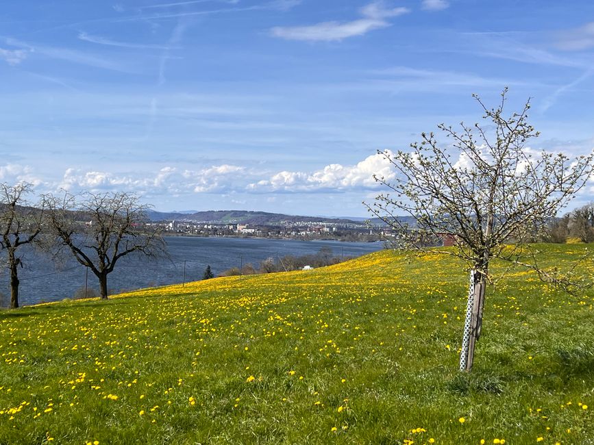 Sicht über den Sempachersee nach Sursee.