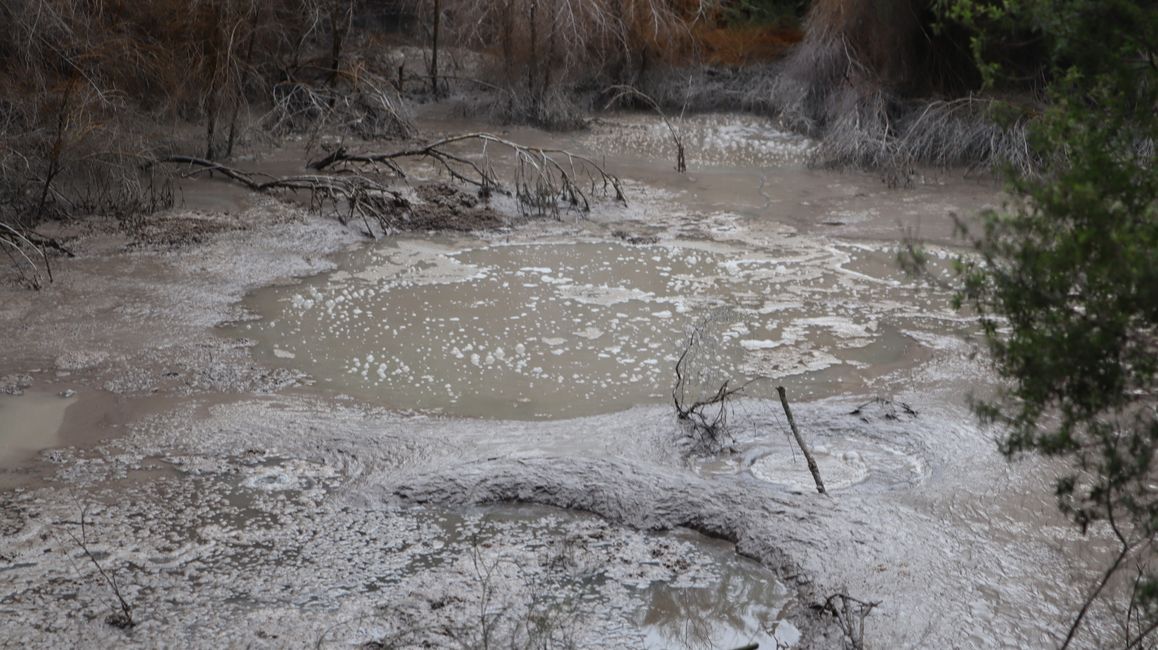 Auch dieser Schlammtümpel ist eine geothermale Quelle 